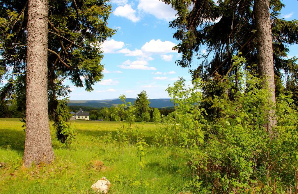 Landhaus Sonnentau Johanngeorgenstadt Bagian luar foto