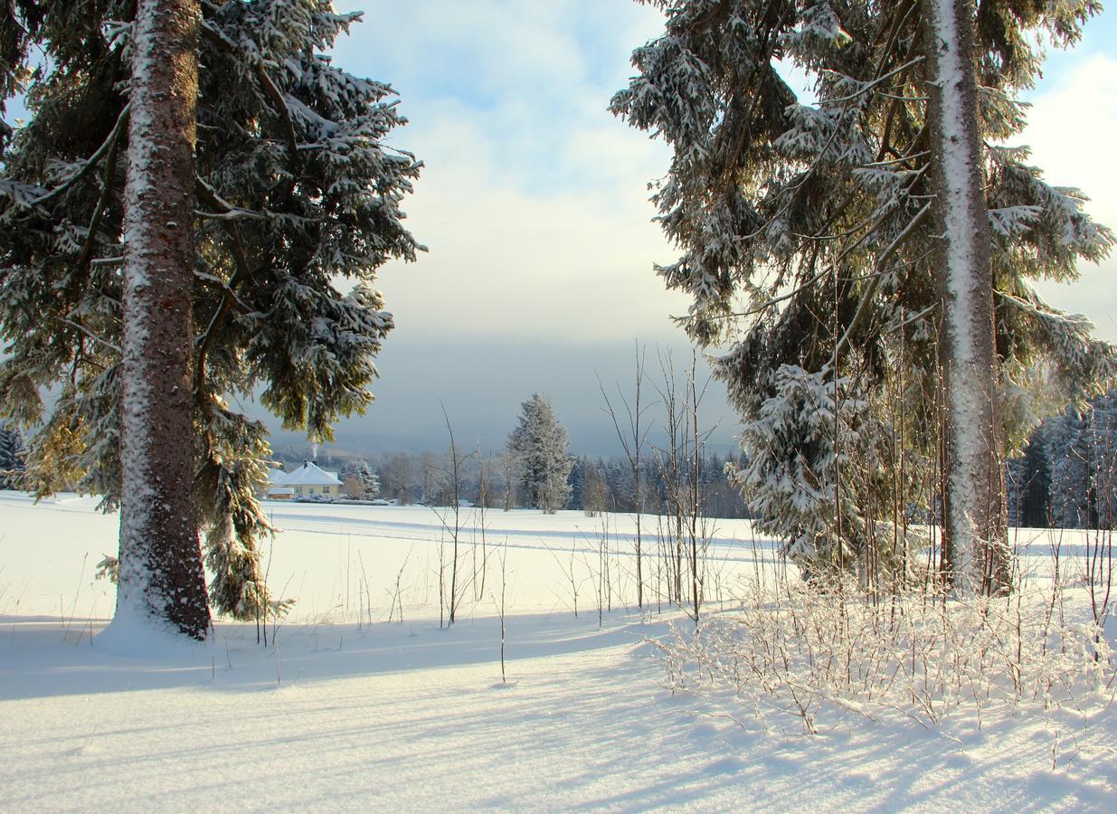 Landhaus Sonnentau Johanngeorgenstadt Bagian luar foto